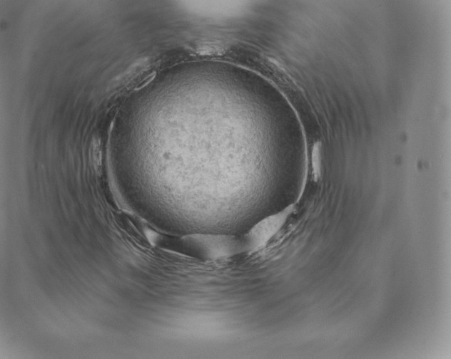 X0000088651443200706081626