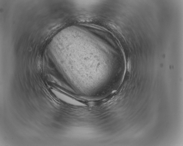 X0000088651444200706081626