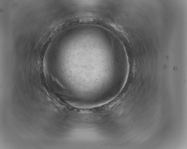 X0000088651445200706081626