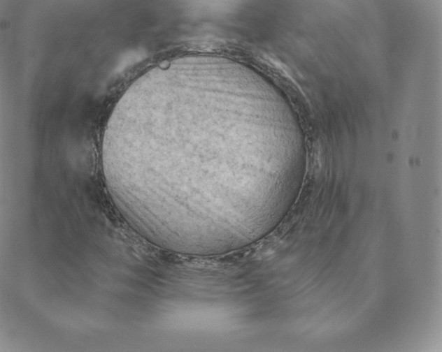 X0000088651446200706081626