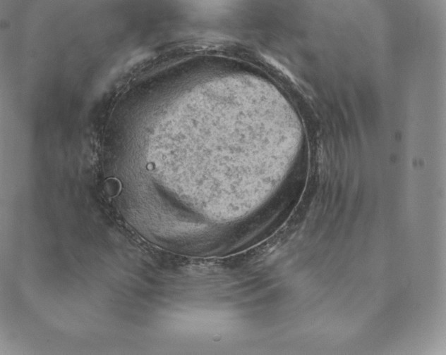 X0000088651447200706081626