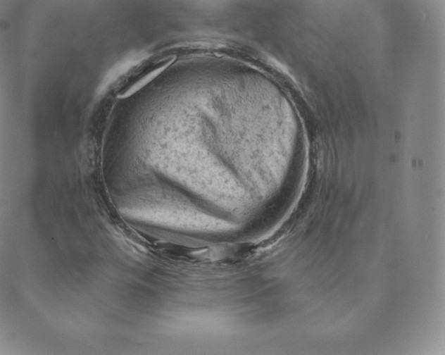 X0000088651448200706081626