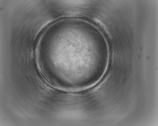 X0000088651449200706081626