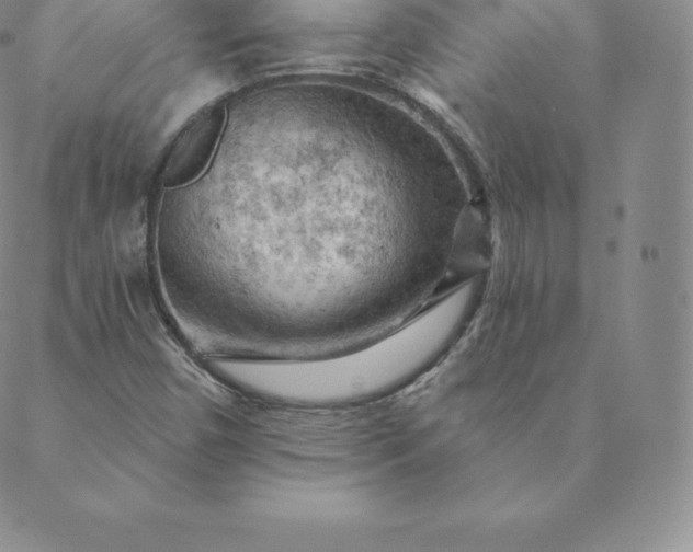 X0000088651450200706081625