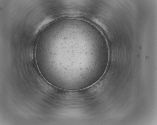 X0000088651451200706081625