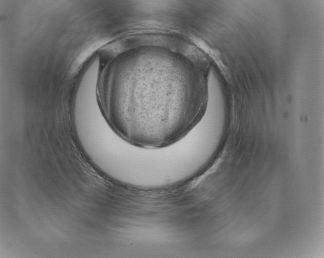 X0000088651453200706081625