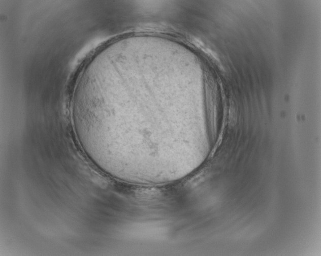 X0000088651454200706081625