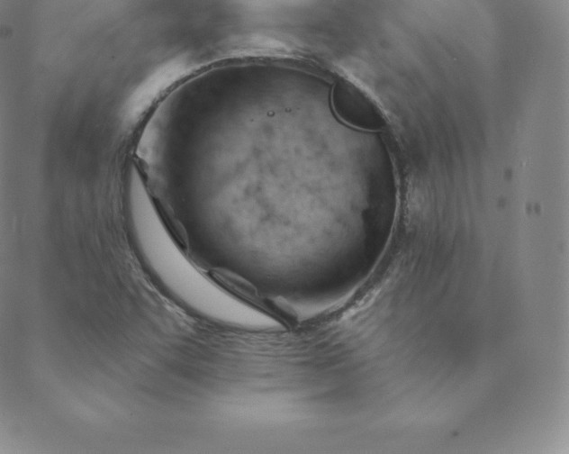 X0000088651455200706081625