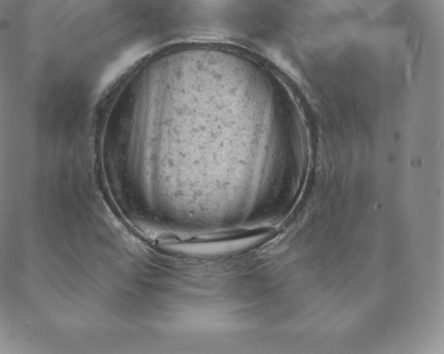 X0000088651456200706081625