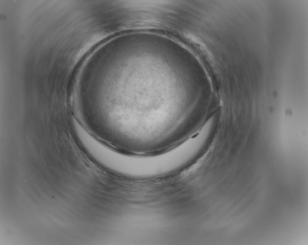 X0000088651457200706081625