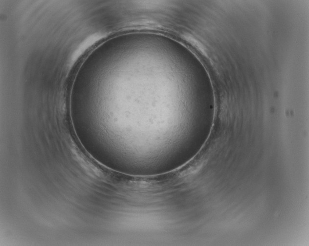 X0000088651458200706081625