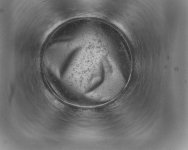 X0000088651460200706081625