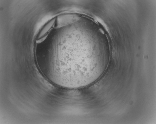 X0000088651464200706081625