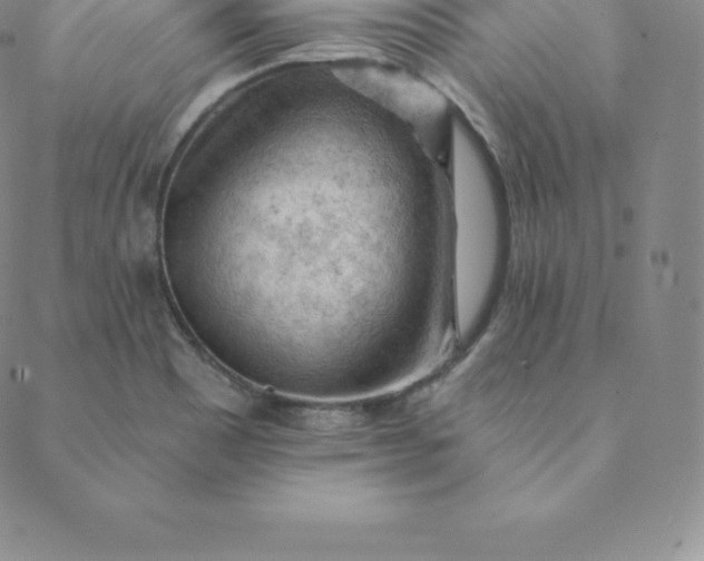 X0000088651465200706081625