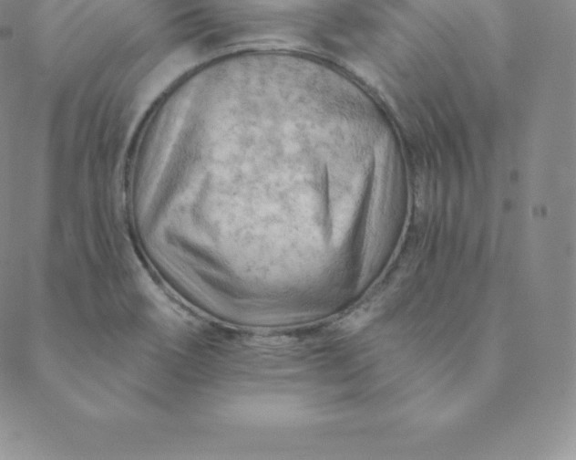 X0000088651466200706081625