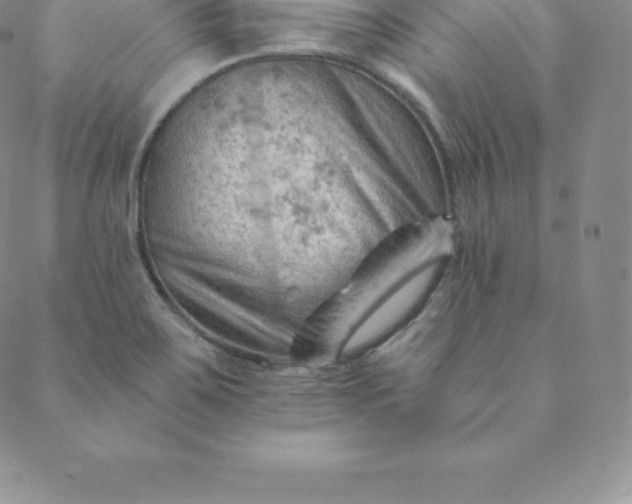 X0000088651467200706081625