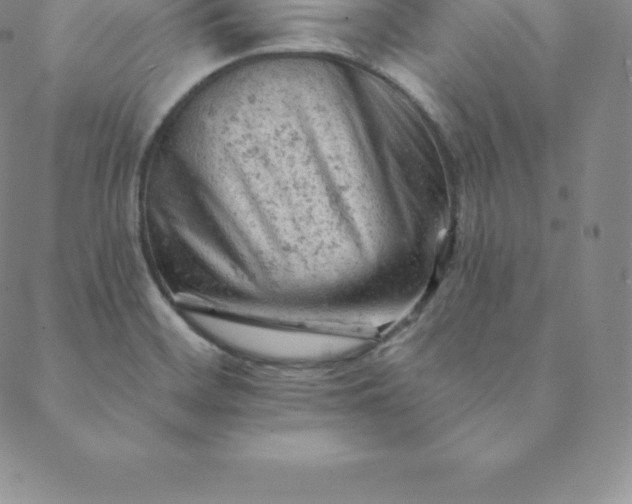 X0000088651468200706081625