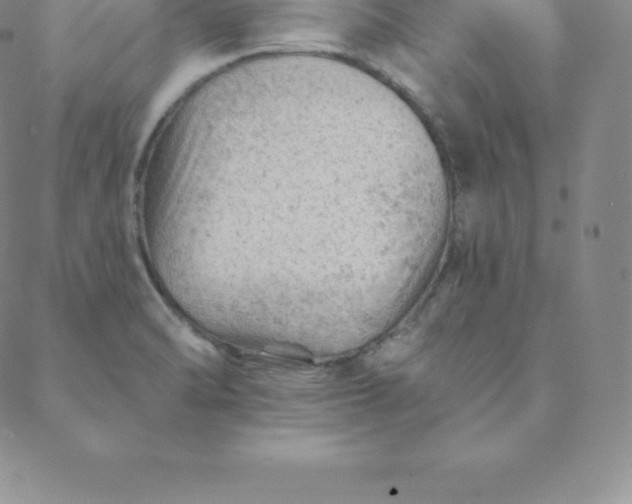 X0000088651470200706081625