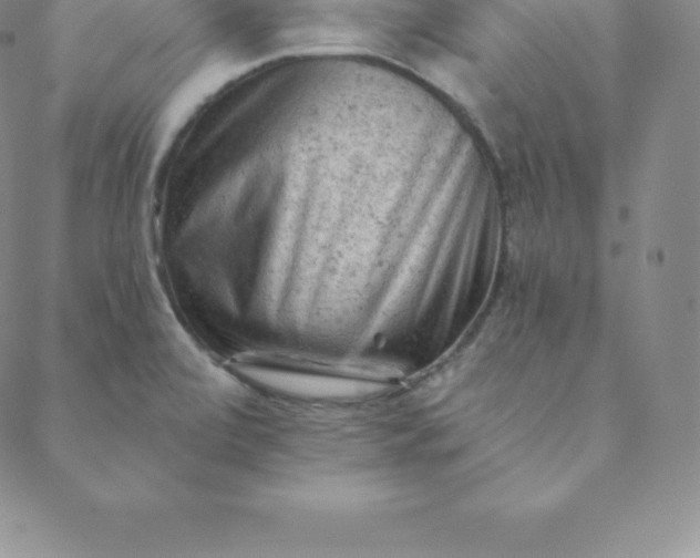 X0000088651472200706081625