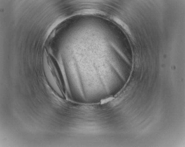 X0000088651473200706081625