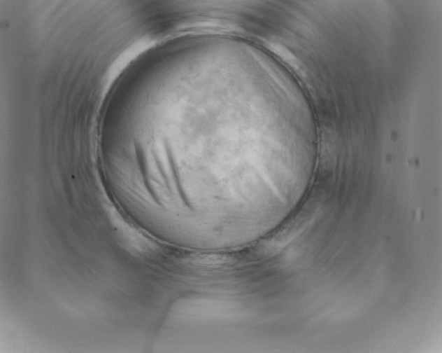 X0000088651474200706081625