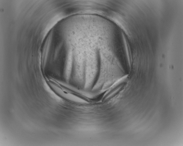 X0000088651476200706081625