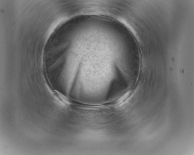 X0000088651477200706081625