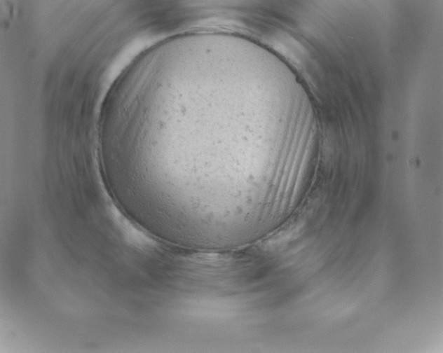 X0000088651478200706081625