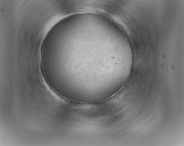 X0000088651479200706081625