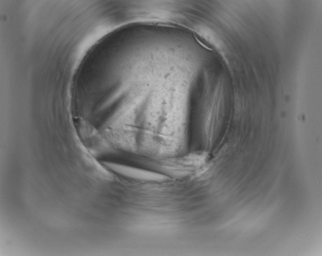 X0000088651480200706081625