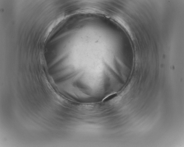 X0000088651481200706081625