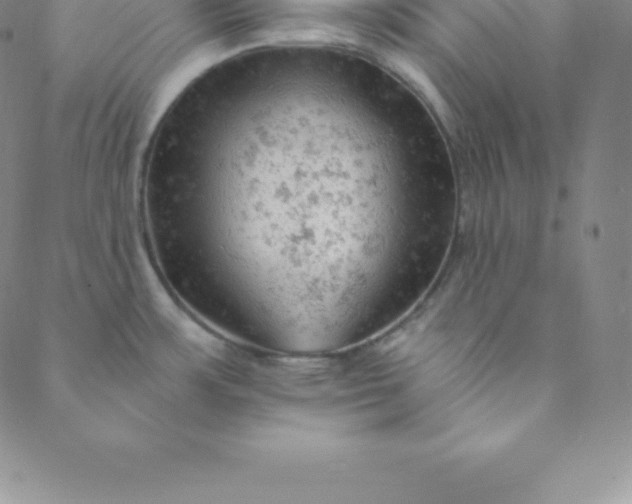 X0000088651483200706081625