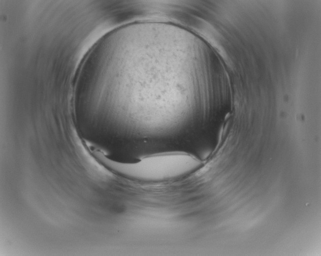 X0000088651484200706081625