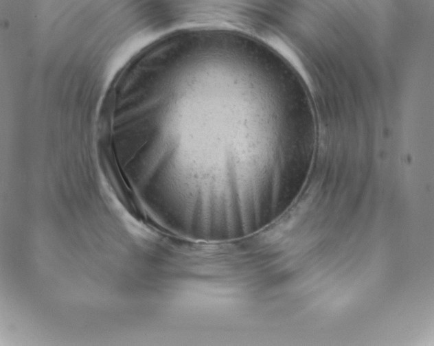 X0000088651485200706081625