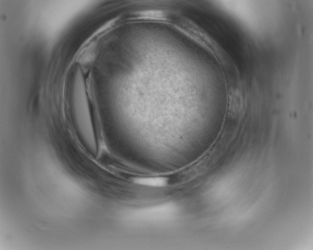 X0000088651487200706081625