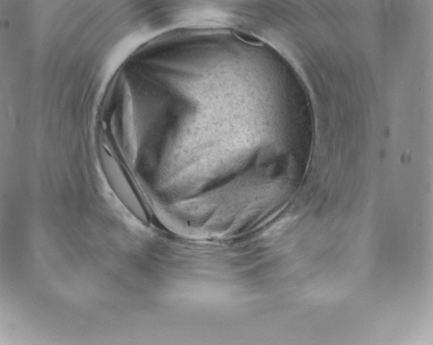 X0000088651488200706081625