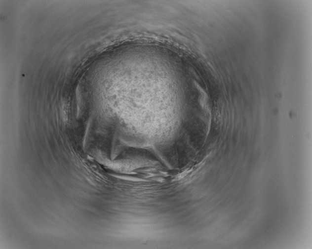 X0000088651490200706081624