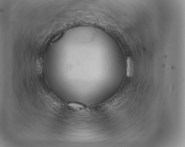 X0000088651491200706081624