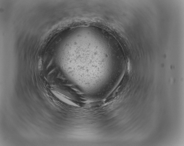 X0000088651492200706081624