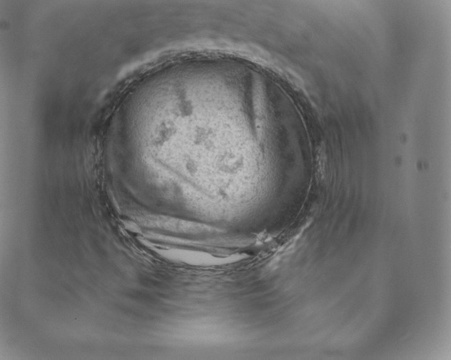 X0000088651494200706081624