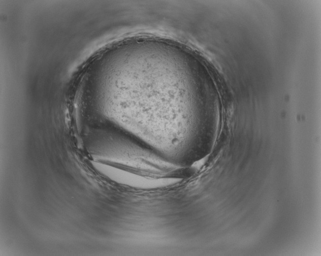 X0000088651496200706081624