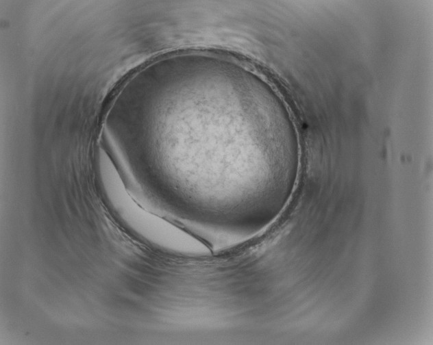 X0000088651497200706081624