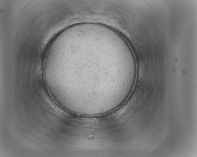 X0000088651498200706081624