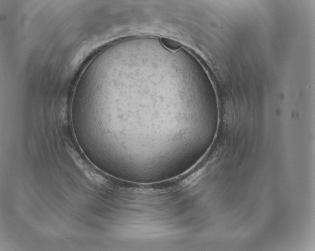 X0000088651499200706081624