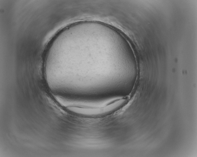 X0000088651502200706081624