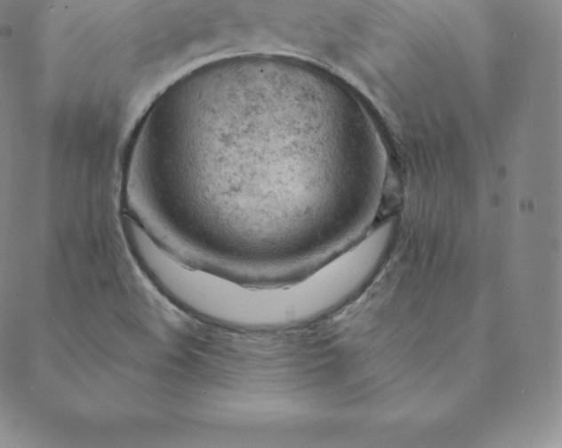 X0000088651508200706081624