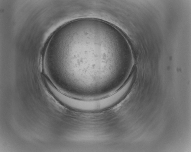 X0000088651510200706081624