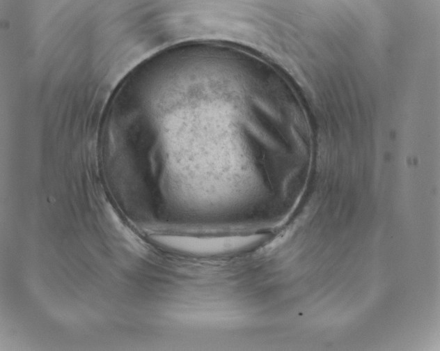 X0000088651513200706081624