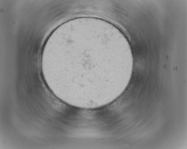 X0000088651514200706081625