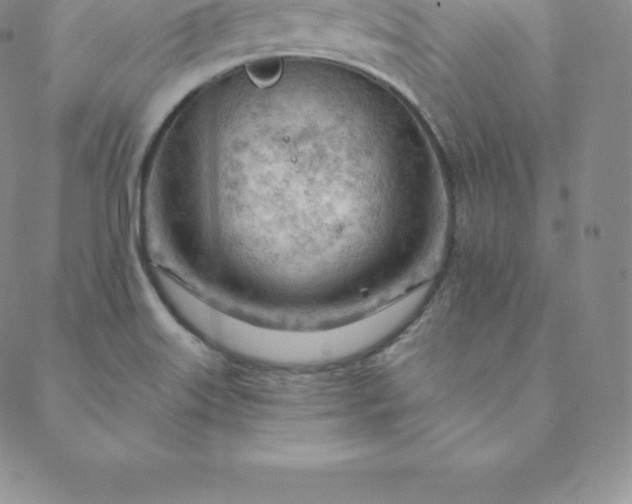 X0000088651515200706081625